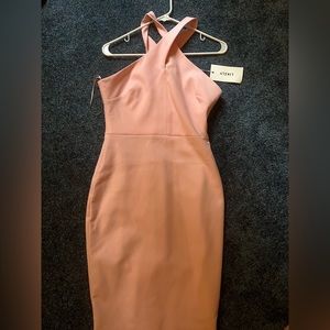Likely rose dress size 6 NWT